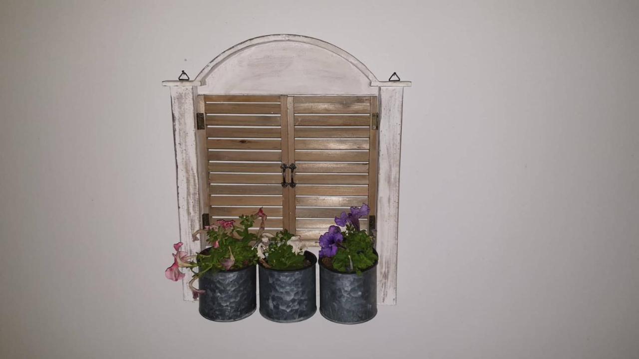 - Comfy Center Rodos
